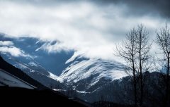 ˮ����ʲô��˼�����