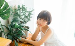 木猪命什么意思?详解