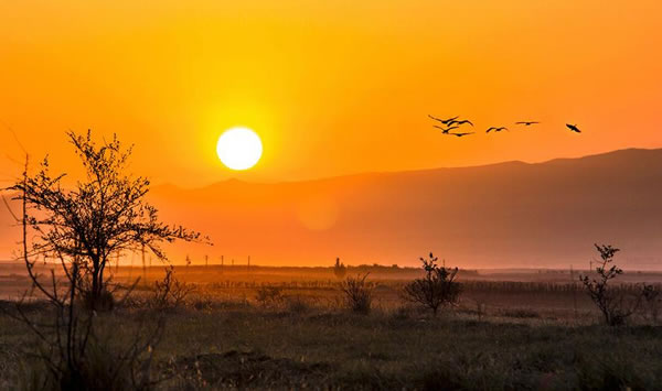 1970����������2026����Ф���ư��ַ���