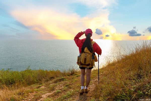 1981年属鸡的人2026年生肖运势八字分析