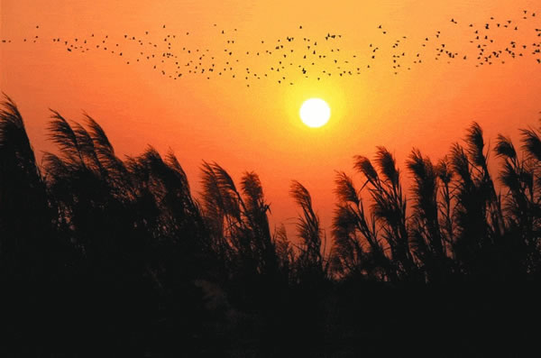 1982����������2026����Ф���ư��ַ���