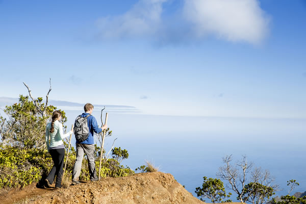 1994����������2026����Ф���ư��ַ���