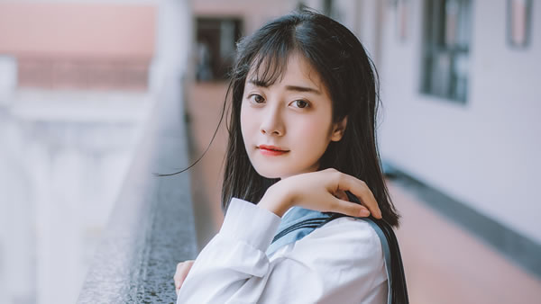 2001�����ߵ���2026����Ф���ư��ַ���