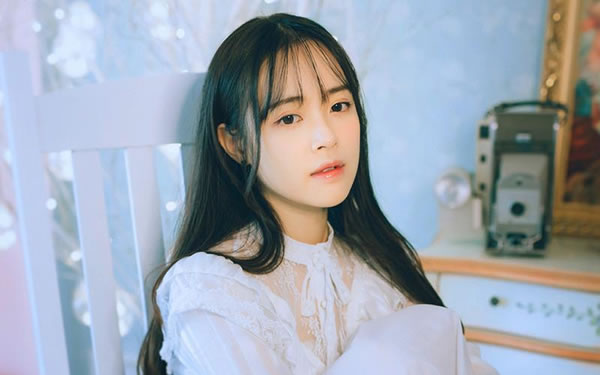 2003���������2026����Ф���ư��ַ���