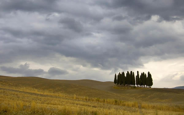 1967���������2026��ÿ����Ф�������