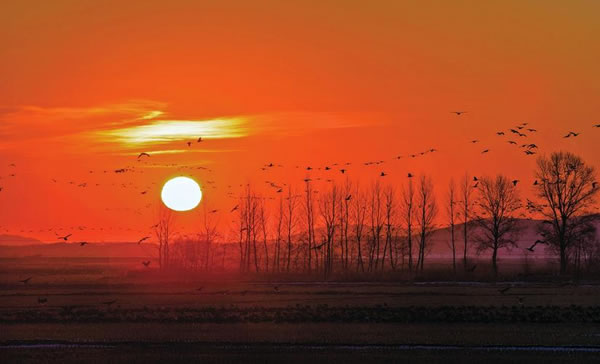 1968���������2026��ÿ����Ф�������