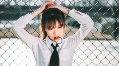 属马人2026年2月运势详解,开运建议