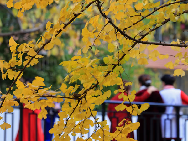 水瓶座2026年2月星座运势