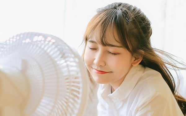 2026��̫�����׵���Ф