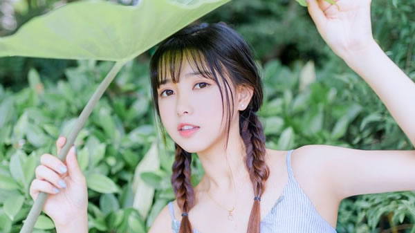 ��ţ�˵Ļ����������