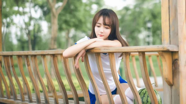 从动物习性看属猪人的社交天赋