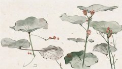 <b>������ô��ʲôʱ�����ת�ˣ������ӵ�ͷ����</b>