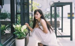 属鸡人2026年3月运势详解,开运建议