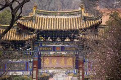 可以代替别人抽签吗?代替别人抽签注意什么