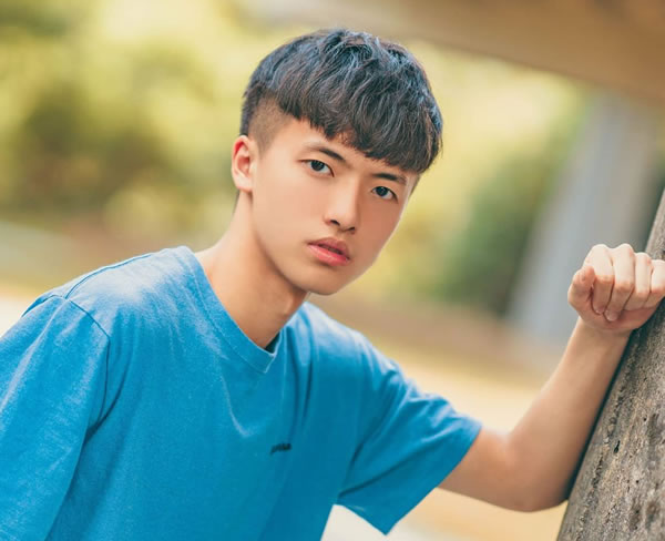 ����ľ�������˵��������