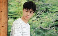 松柏木命的男人的命运详解